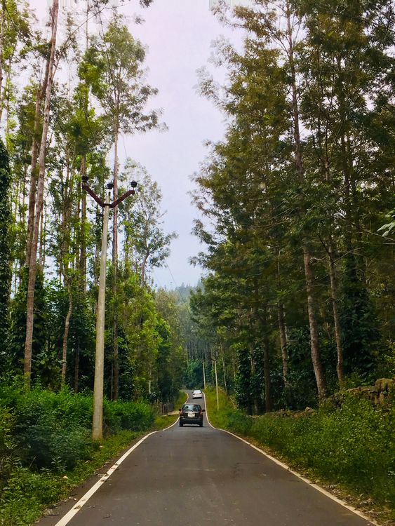 Bangalore to Yercaud Tempo Traveller